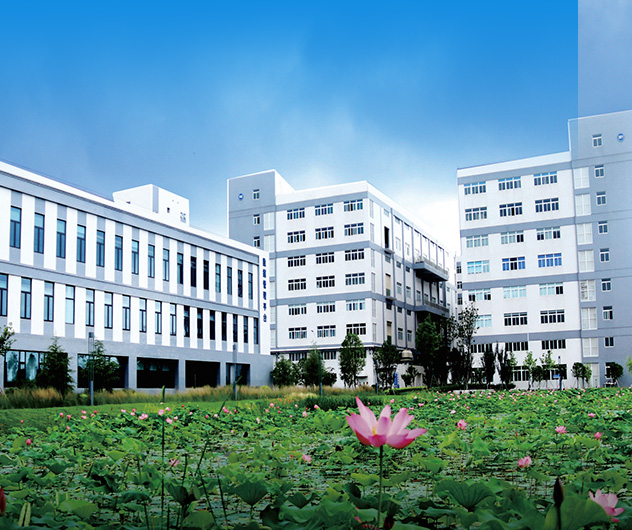 高標準廠房 多種規(guī)格